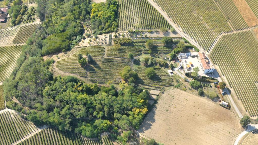 科斯蒂廖莱达斯蒂Cascina San Michele住宿加早餐旅馆 外观 照片